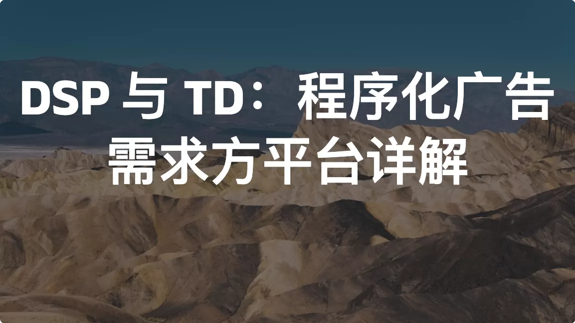 DSP 与 TD：程序化广告需求方平台详解