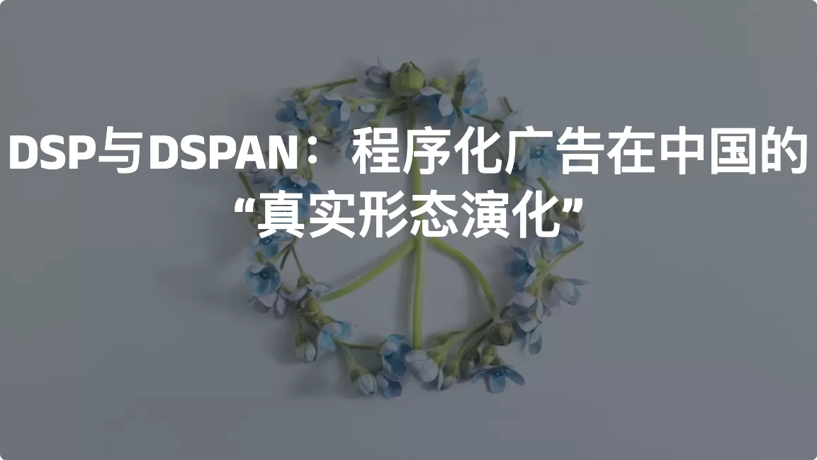 DSP与DSPAN：程序化广告在中国的“真实形态演化”