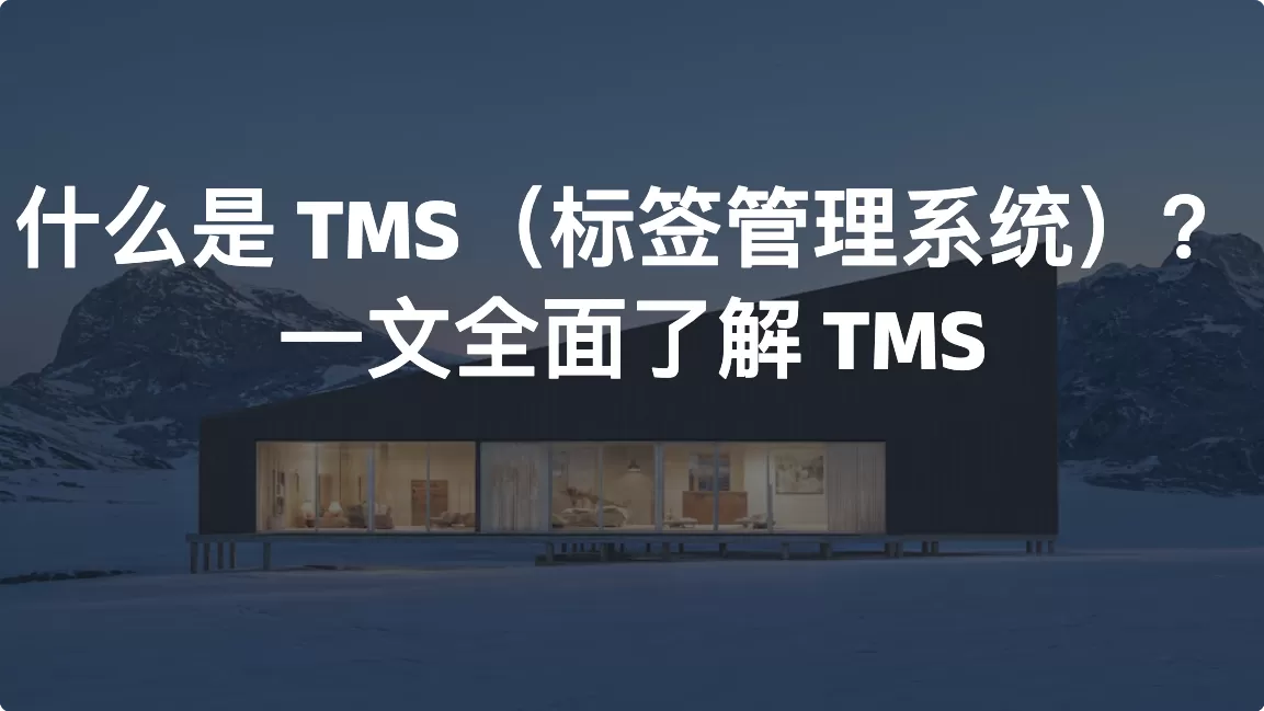 什么是 TMS（标签管理系统）？一文全面了解 TMS