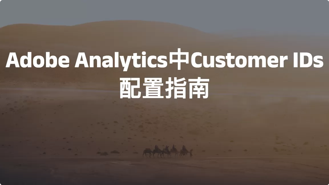 Adobe Analytics中Customer IDs（User ID）配置指南