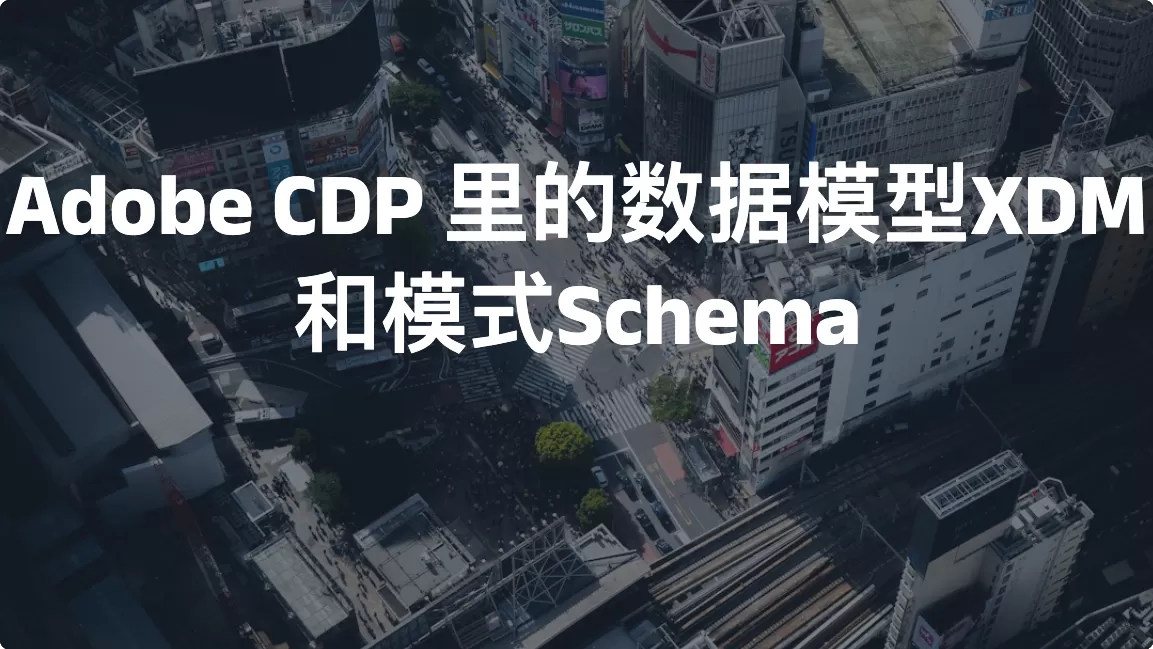 Adobe CDP 里的数据模型XDM和模式Schema
