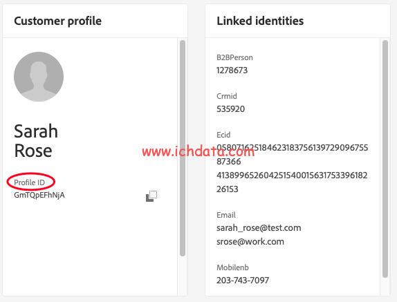 Adobe  CDP 中的Identity Service