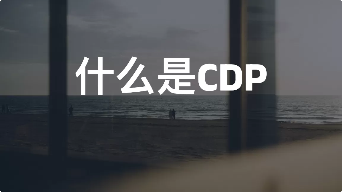 什么是CDP（Customer Data Platform）